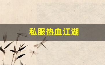 私服热血江湖(热血江湖传手游) (3)