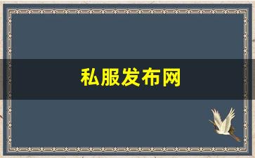 私服发布网(传奇手游sf999发布网) (4)