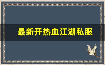 热血江湖私：最新开热血江湖私服 (3)