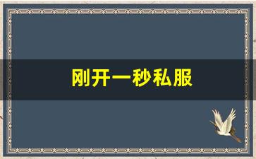 西游sf：刚开一秒私服(刚开一秒手游)