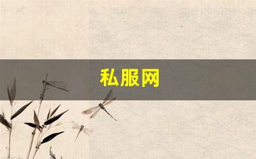 热血江湖私服新开：私服网(手游私sf平台) (8)