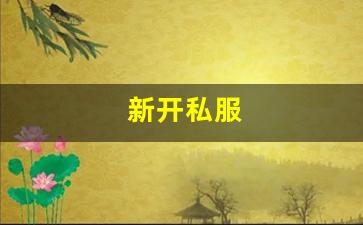 新开私服(传奇新开服网站大全) (9)