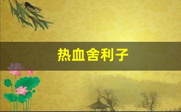 热血舍利子(动作片舍利子) (4)
