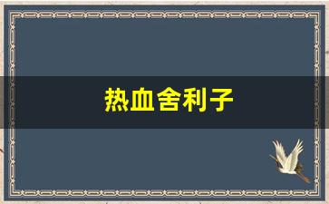 师傅热血江湖：热血舍利子(舍利子加什么属性) (2)