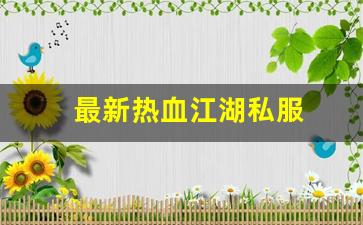 最新热血江湖私服 (11)