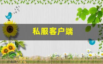 私服客户端 (14)