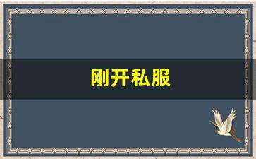 手游sf网：刚开私服 (3)
