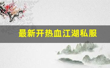 最新开热血江湖私服 (11)