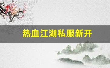 热血江湖私服新开 (3)