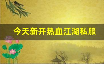 今天新开热血江湖私服 (5)