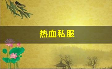 热血私服(热血官方)