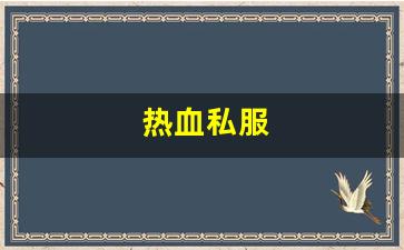 热血私服(热血官网首页) (2)