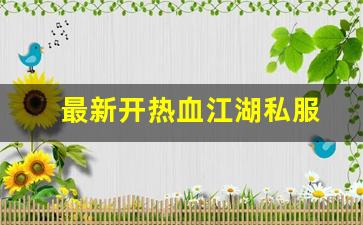 最新开热血江湖私服 (16)