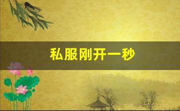 私服刚开一秒(新区刚开一秒传奇) (4)