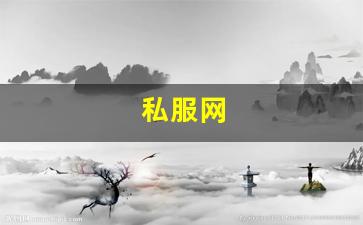 私服网(手游私sf平台) (15)