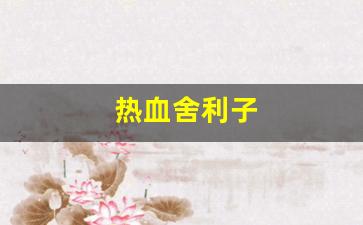热血江湖sf发布网站：热血舍利子(顶级血舍利子) (3)