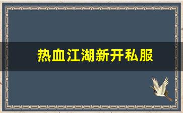 热血江湖新开私服 (5)