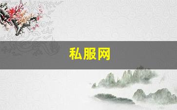 私服网(手游私sf平台) (3)