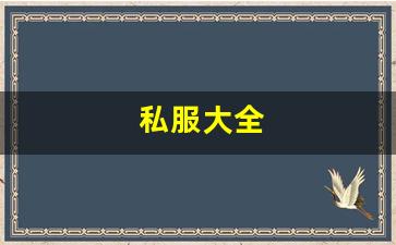热血江湖新开区：私服大全 (6)