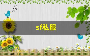 sf私服 (13)