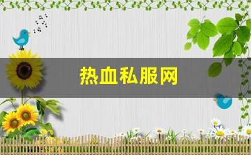 好热血江湖私服：热血私服网(热血游戏官网)