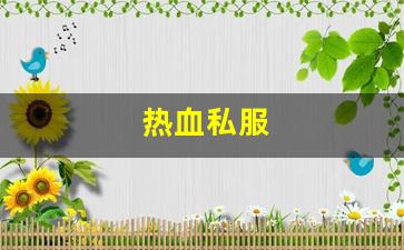 热血江湖私服新开：热血私服(热血正版手游) (3)