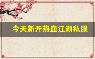 最新热血江湖私服网：今天新开热血江湖私服 (7)