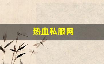 热血私服网(热血官网首页) (2)