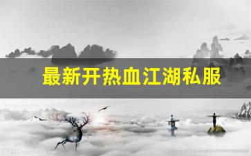 最新开热血江湖私服 (7)